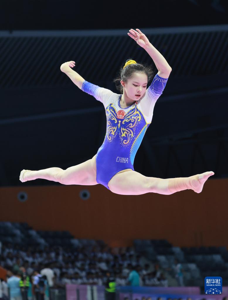 alt, 次选拔测验