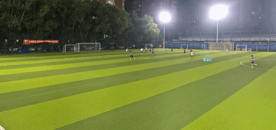 ws, GO鹰联 ws, GO鹰联