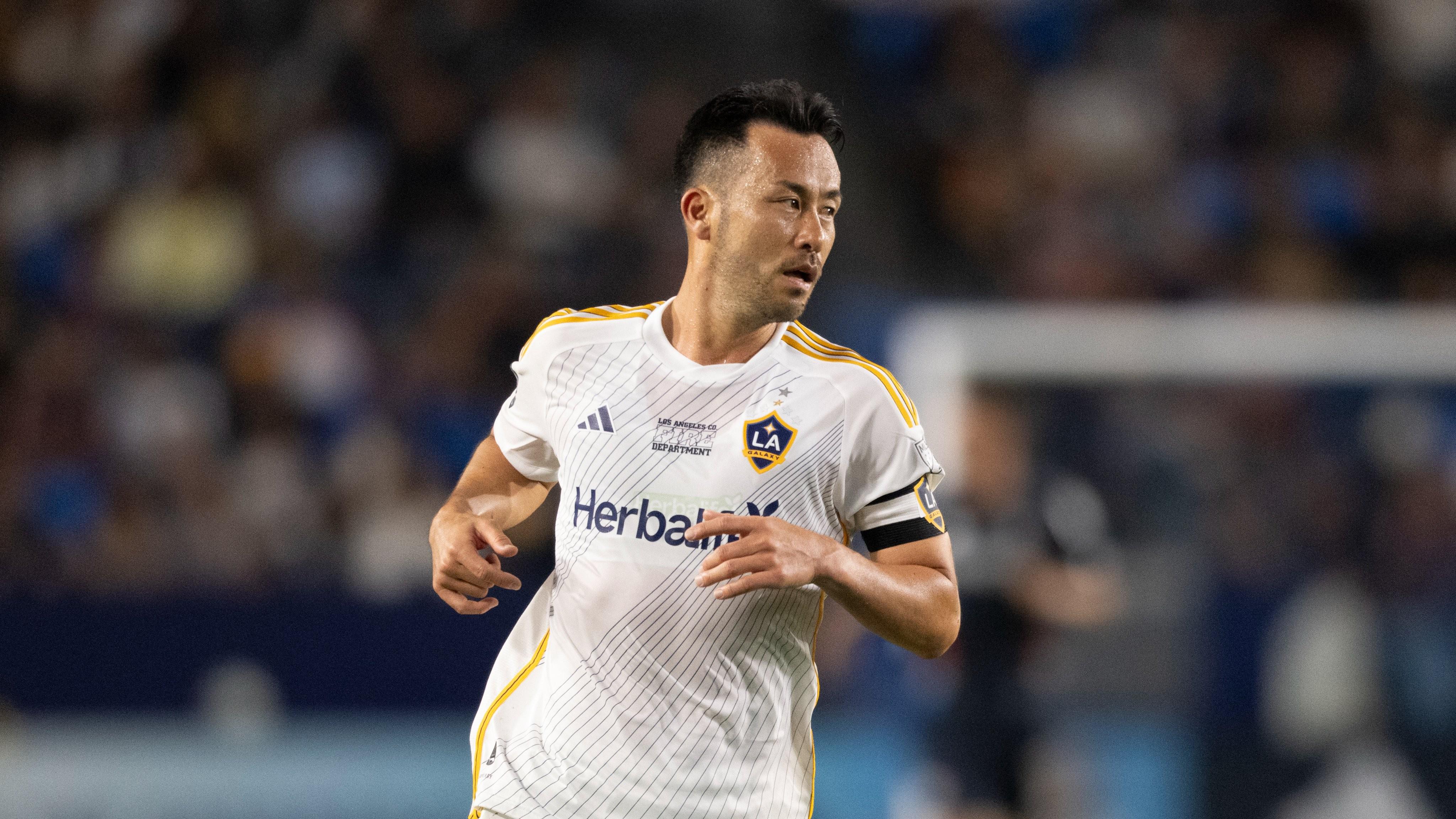 高大, 即便专注于, 场相对凉爽 高大, 即便专注于, 场相对凉爽