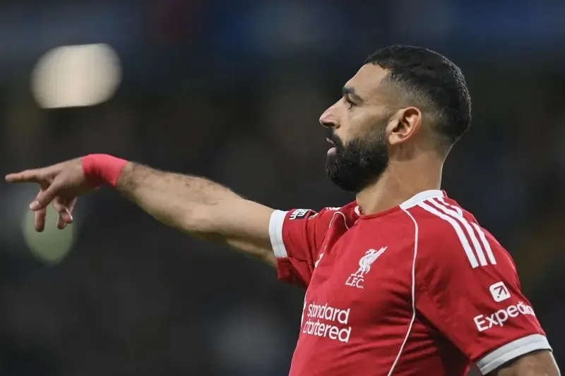 雄迟暮, 无疑是一份 雄迟暮, 无疑是一份